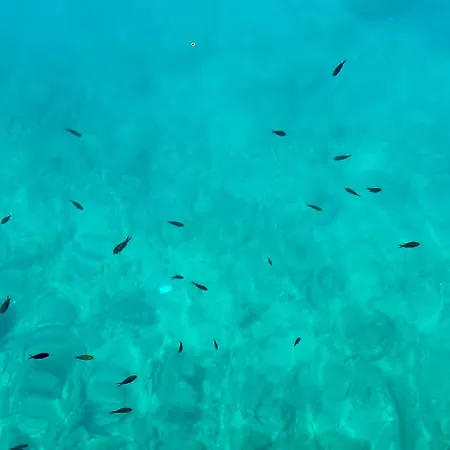 Luxury Adria - Sea & Mountain View, Whirlpool And Free Parking Makarska