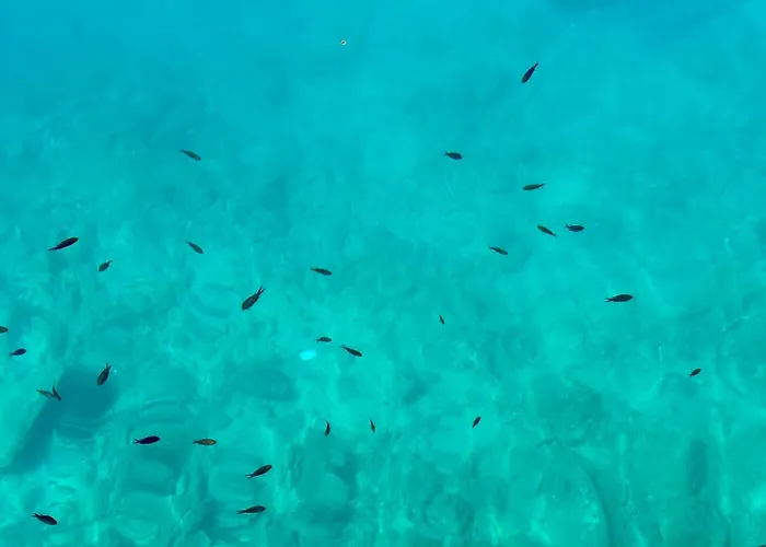 Luxury Adria - Sea & Mountain View, Whirlpool And Free Parking Makarska